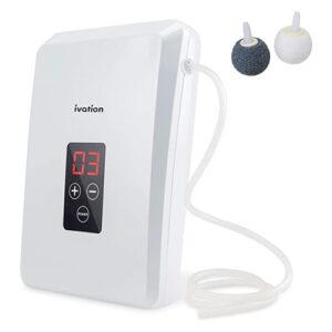 Ivation Portable Ozone Generator 600mg/h